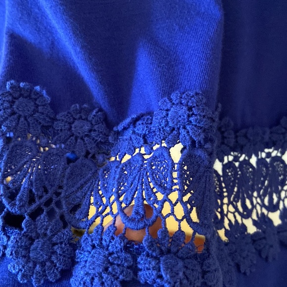 Altar’d State Royal Blue Overlay Dress - Picture 9 of 9